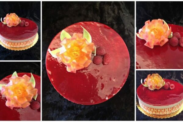 Bavarois chocolat blanc framboise au thermomix