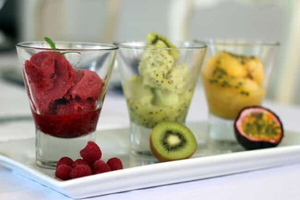 Sorbet aux Fruits thermomixx