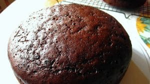 Gâteau au chocolat moelleux avec thermomix