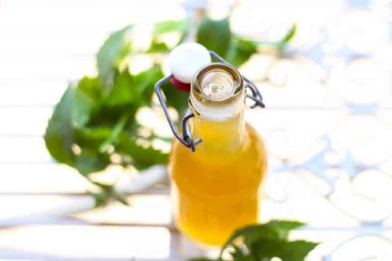 Sirop de menthe maison au thermomix - Recette Thermomix