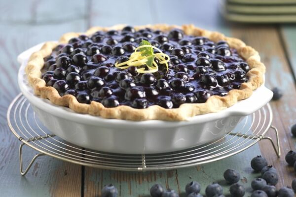 Tarte aux Myrtilles facile au thermomix