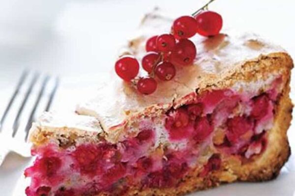 Gâteau aux groseilles avec thermomix