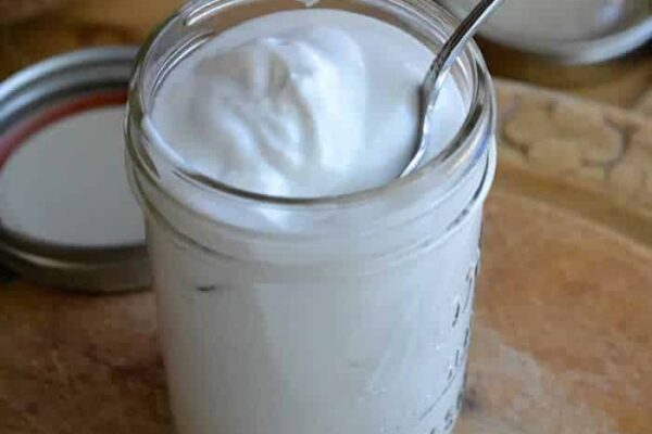 Yaourts noix de coco au thermomix