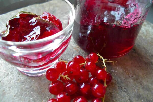 Gelée des groseilles au thermomix