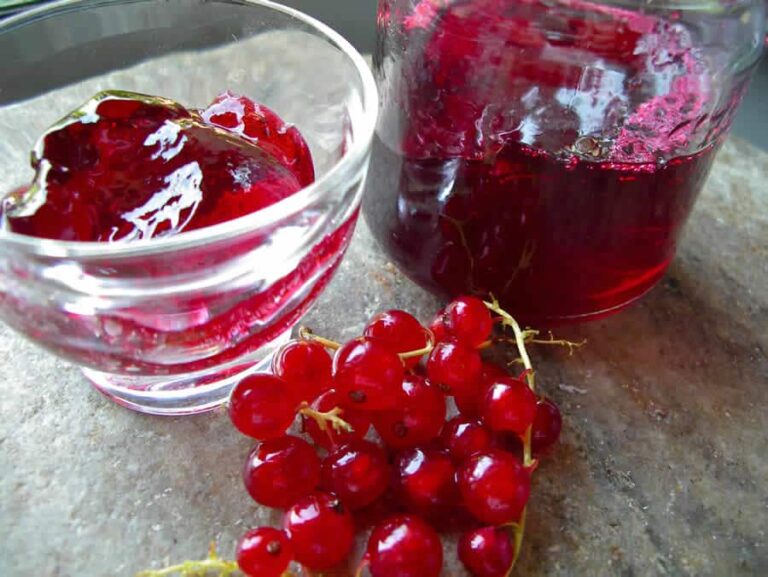 Gelée des groseilles au thermomix Recette Thermomix