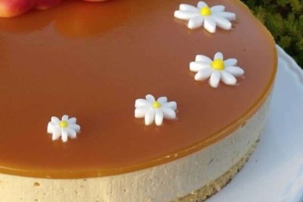 Bavarois abricot recette Weight Watchers au thermomix