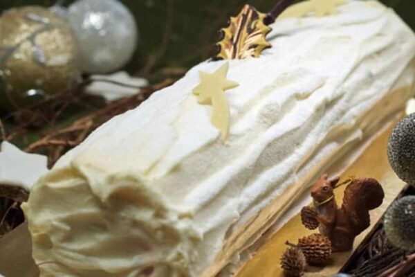 Bûche de Noël passion au thermomix