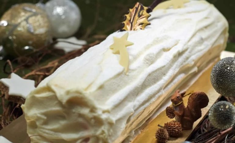 Bûche de Noël passion au thermomix