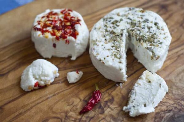 Fromages de chèvre fait maison au thermomix