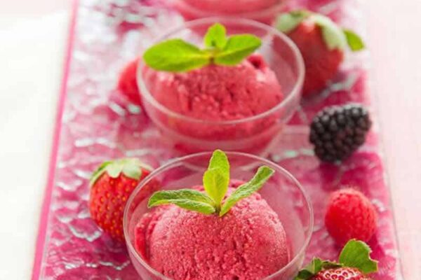 Sorbet aux fruits rouges au thermomix