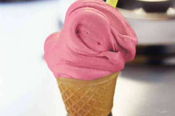 Glace italienne à la fraise au thermomix