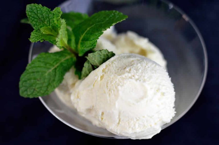 Sorbet Mojito au thermomix