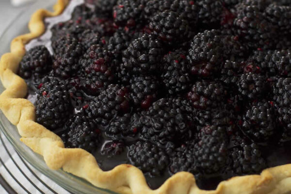 Tarte aux mûres au thermomix