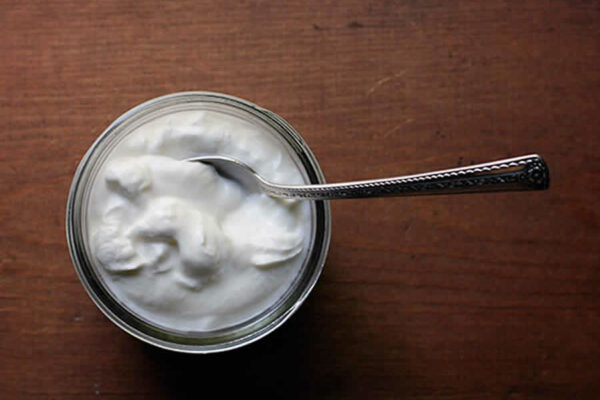 Yaourt à la grecque au thermomix