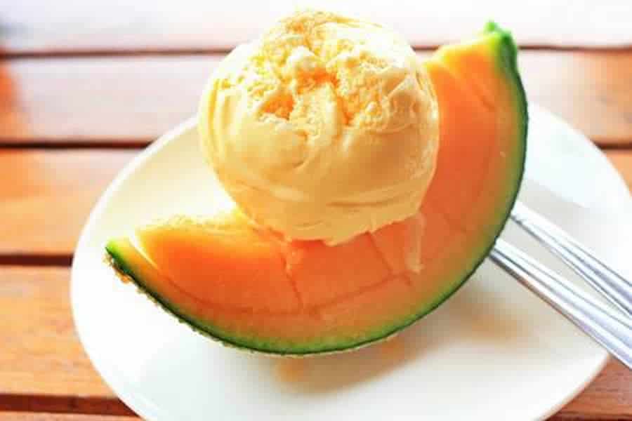 Crème Glacée de Melon au thermomix