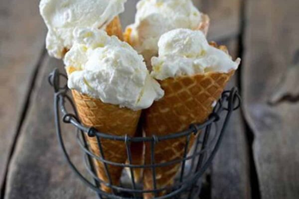 Glace au yaourt bulgare au thermomix