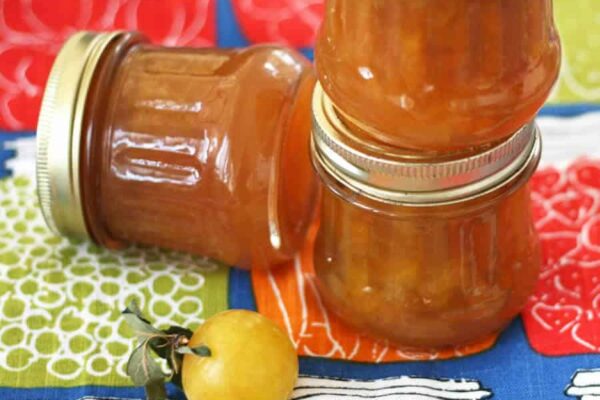 Confiture de mirabelles au thermomix