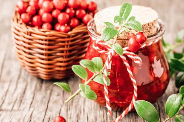 Confiture de Noël aux airelles au thermomix