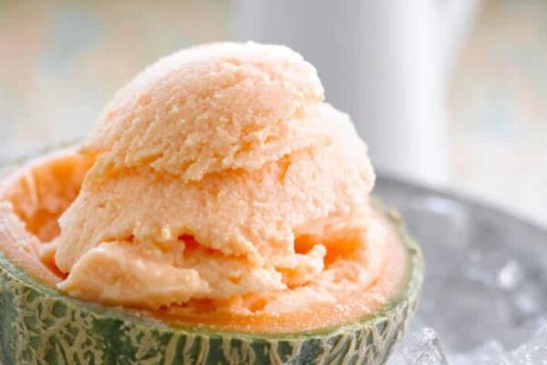 Sorbet melon sans oeufs au Thermomix