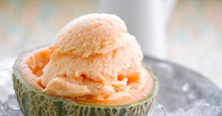 Sorbet melon sans oeufs au Thermomix