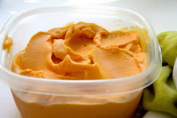 Sorbet aux abricots au Thermomix