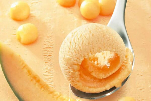 Sorbet melon au Thermomix