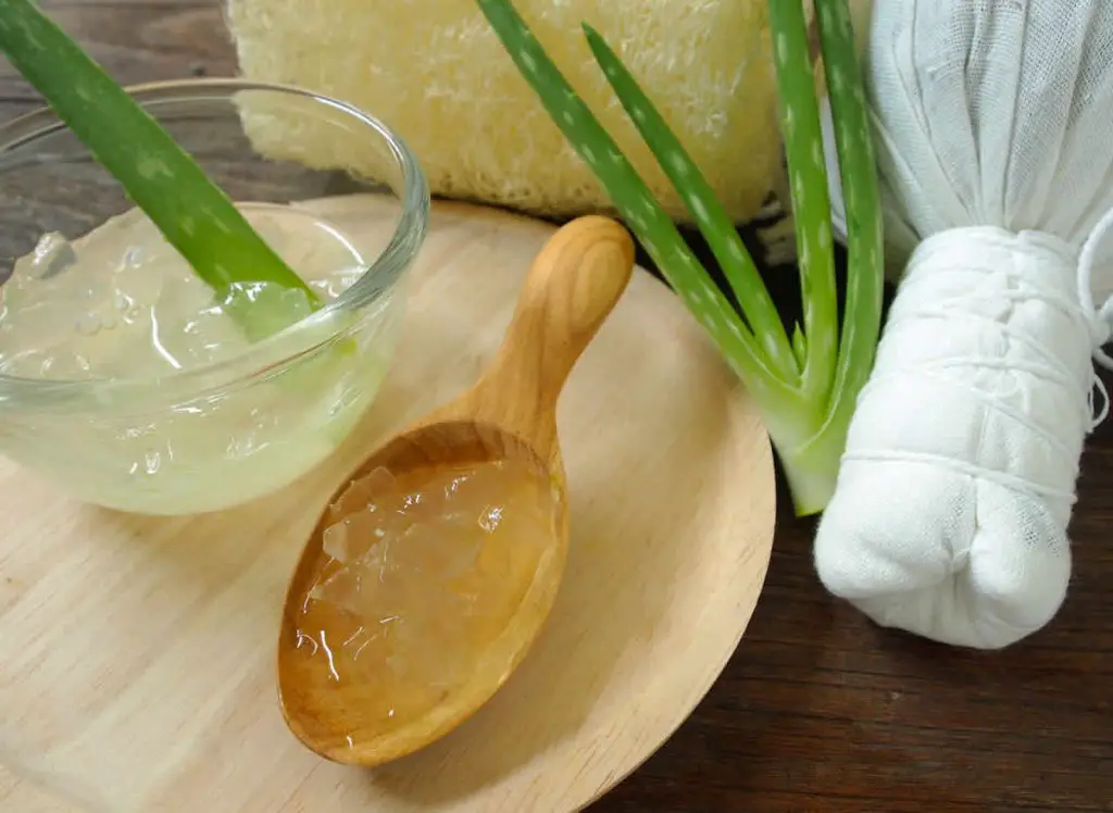 Gel d'Aloe Vera BIO au Thermomix