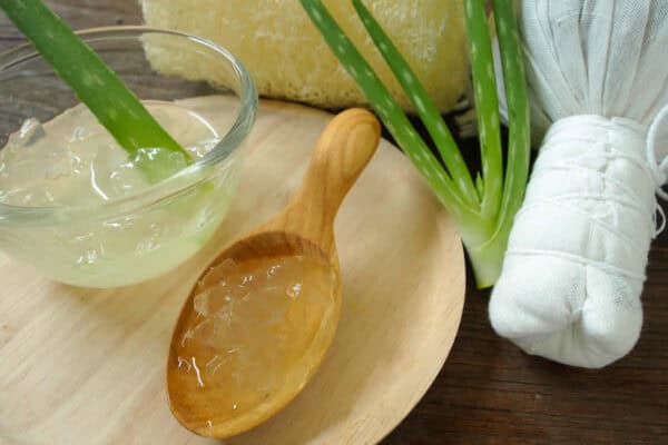 Gel d'Aloe Vera BIO au Thermomix
