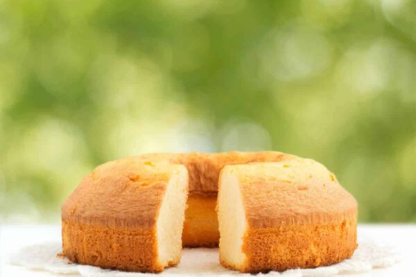 Gâteau moelleux au yaourt sans oeuf au Thermomix