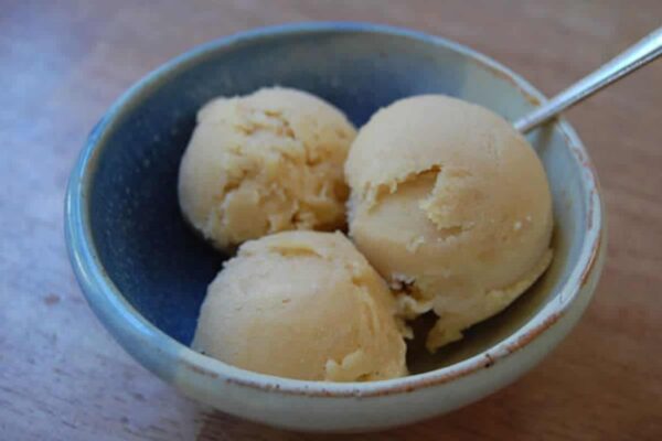 Sorbet aux mirabelles au Thermomix