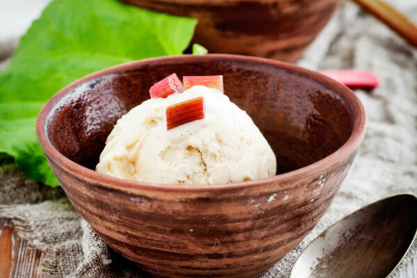 Glace à la rhubarbe au Thermomix