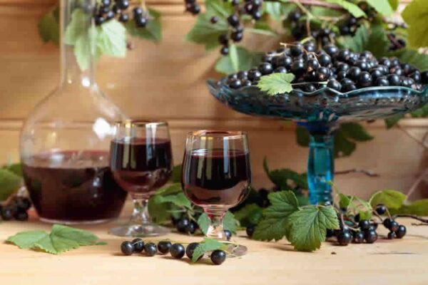 Liqueur de cassis maison au Thermomix