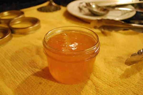 Gelée d’orange et citron au Thermomix