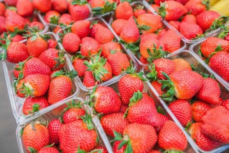 Comment conserver les fraises pour qu'elles restent fraîches longtemps ?