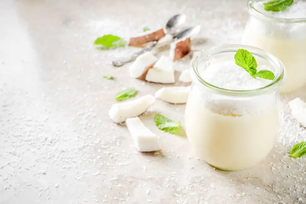 Crème dessert à la noix de coco au Thermomix : Une recette super facile et savoureuse !