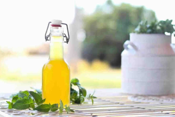 La recette la plus simple pour un sirop de menthe au Thermomix qui rendra vos sirops d'été agréables et frais !