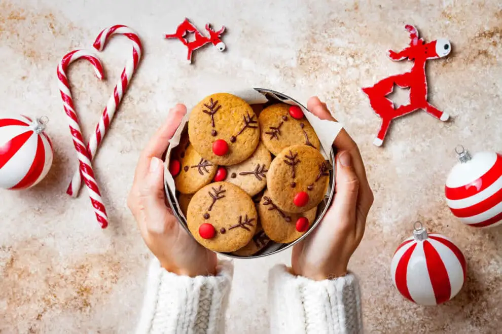 Biscuits Rennes de Noël au yaourt, vous feront vivre toute la magie de Noël