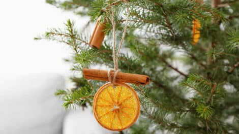 Pour les fêtes de Noël : Tranches d'orange séchées