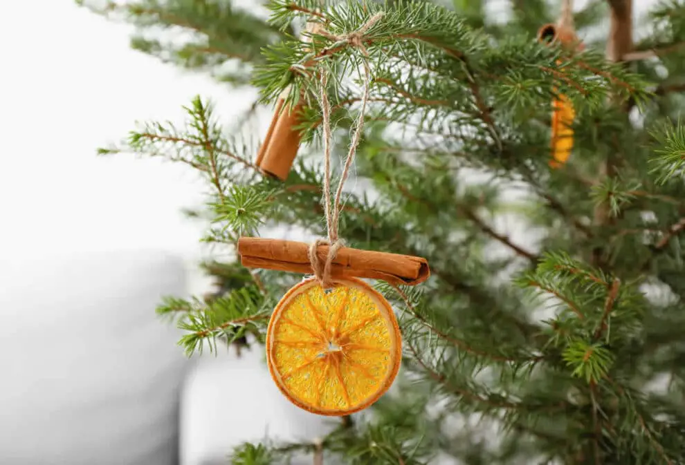 Pour les fêtes de Noël : Tranches d'orange séchées