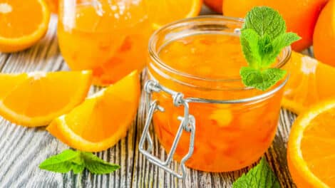 Marmelade d'oranges au Thermomix : Un régal délicieux pour chaque occasion