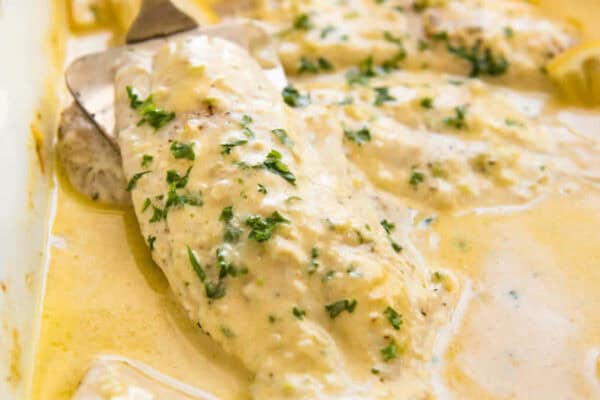 Filets de cabillaud à la crème : Un savoureux plat simple à préparer