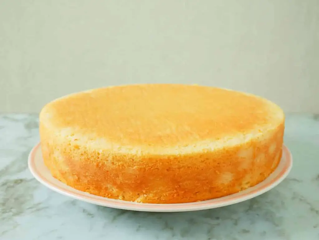 Gâteau léger au skyr : Un dessert délicieux et peu calorique