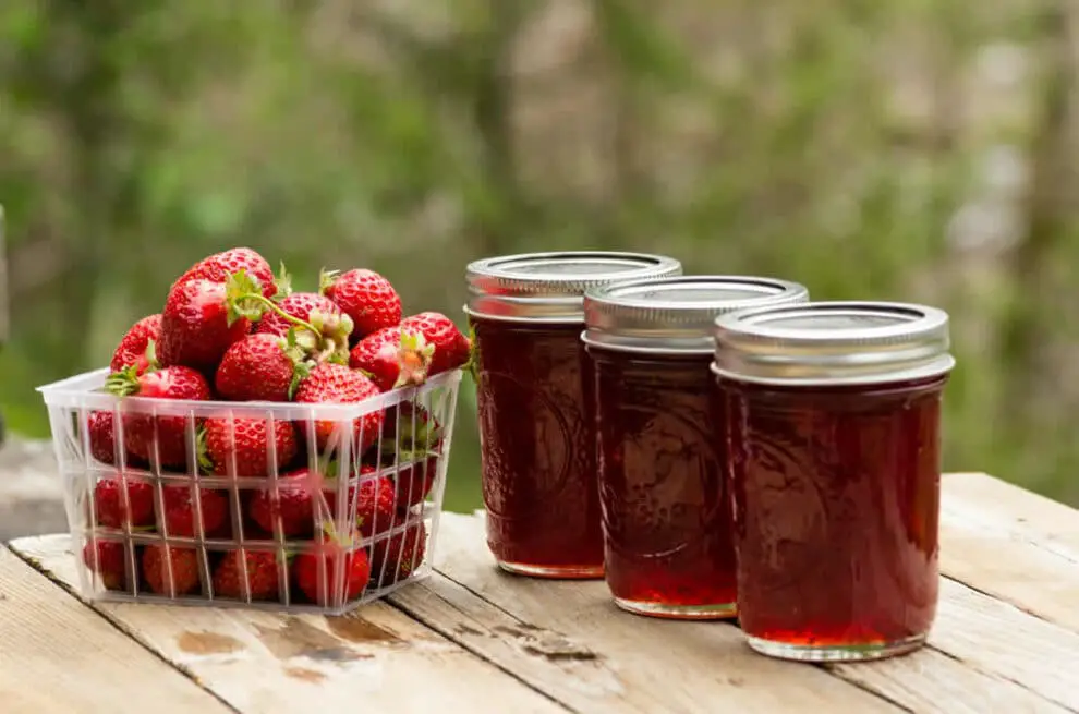 Confiture de fraises au Thermomix : Une gourmandise artisanale à partager en famille