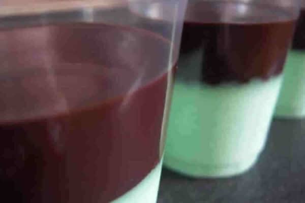 Crème à la menthe rafraîchissante avec coulis au chocolat délicieux