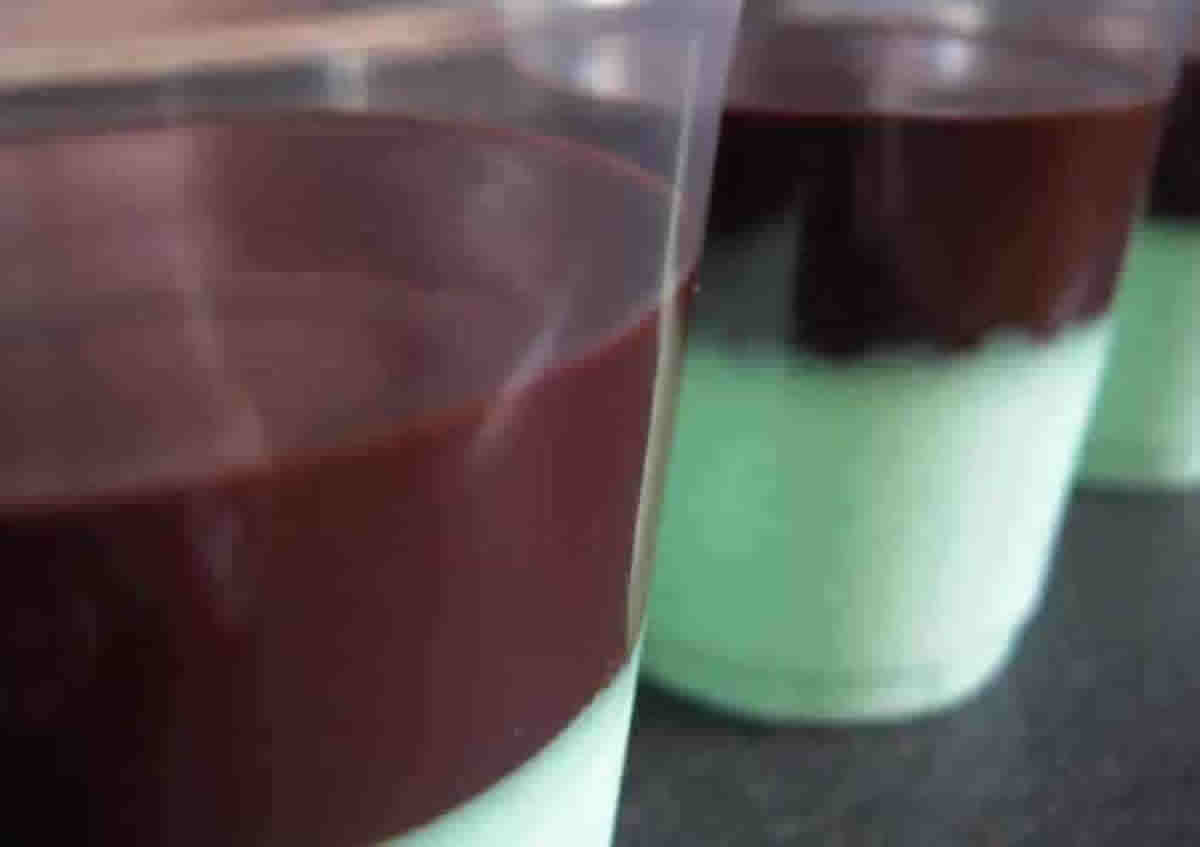 Crème à la menthe rafraîchissante avec coulis au chocolat délicieux