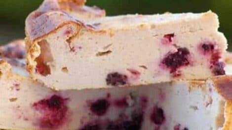 Gâteau léger au fromage blanc et aux framboises : Un dessert frais et rafraîchissant