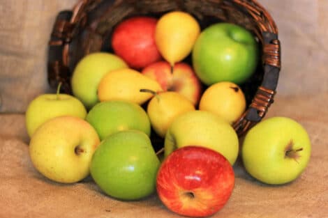Pommes et Poires d'Automne : Saveurs, Recettes et Incroyables Bienfaits