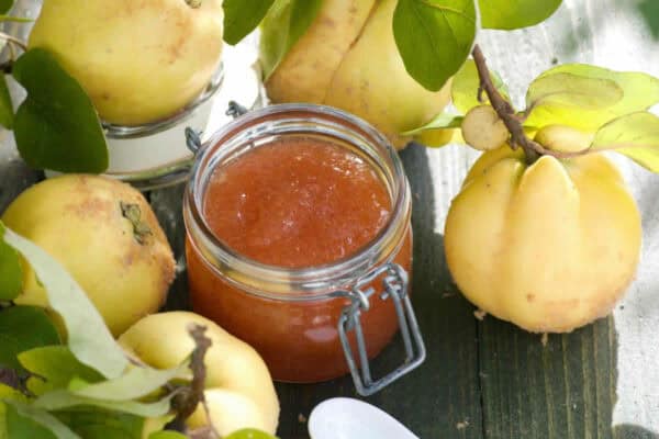 La véritable confiture de coing de grand-mère