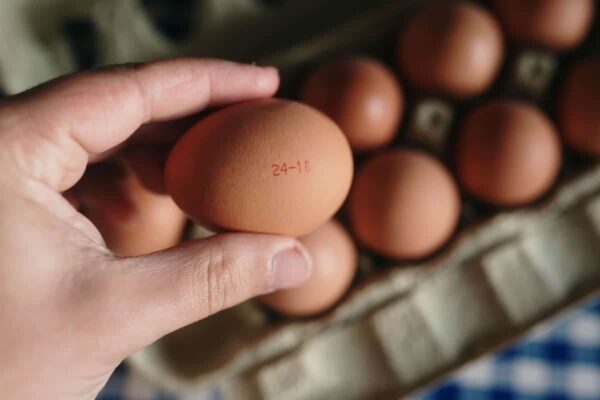 Comment savoir si un œuf périmé est encore bon