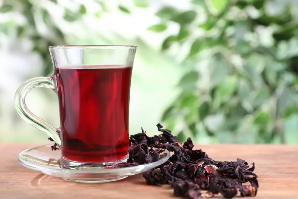 Jus de bissap au Thermomix